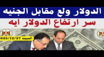 تجاوز 47 جنيهًا.. قفزة جديدة في سعر الدولار أمام الجنيه بالبنوك المصرية اليوم